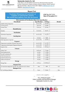 STERILIZE LOT 0887 (2024-11-19)